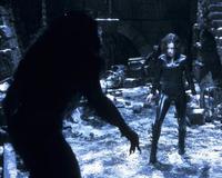 Underworld: Evolution - 8 x 10 Color Photo #36