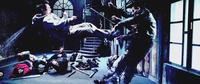 Unleashed - 8 x 10 Color Photo #1
