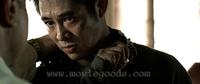 Unleashed - 8 x 10 Color Photo #6