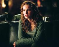 V for Vendetta - 8 x 10 Color Photo #24