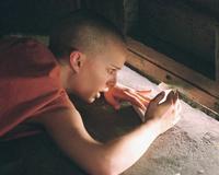 V for Vendetta - 8 x 10 Color Photo #29