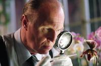 V for Vendetta - 8 x 10 Color Photo #33