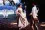 Valmont - 8 x 10 Color Photo #2
