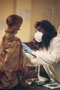 Veritas: The Quest - 8 x 10 Color Photo #53