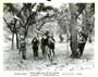 Viking Women and the Sea Serpent - 8 x 10 B&W Photo #4