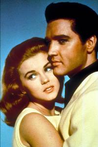 Viva Las Vegas - 8 x 10 Color Photo #3