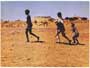 Walkabout - 8 x 10 Color Photo #2