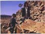 Walkabout - 8 x 10 Color Photo #6