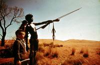 Walkabout - 8 x 10 Color Photo #1