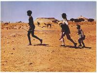 Walkabout - 8 x 10 Color Photo #2