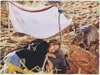 Walkabout - 8 x 10 Color Photo #4