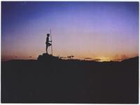 Walkabout - 8 x 10 Color Photo #5