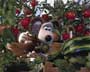 Wallace & Gromit: The Curse of the Were-Rabbit - 8 x 10 Color Photo #9