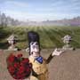 Wallace & Gromit: The Curse of the Were-Rabbit - 8 x 10 Color Photo #11
