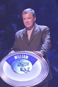 Weakest Link - 8 x 10 Color Photo #3