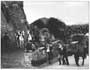 Weapons of War - 8 x 10 B&W Photo #5