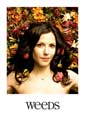Weeds (TV) - 27 x 40 TV Poster - Style B