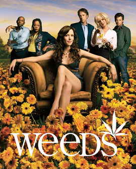 Weeds (TV) - 11 x 17 TV Poster - Style J