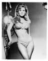 Raquel Welch - 8 x 10 B&W Photo #1