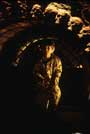 Wes Craven's New Nightmare - 8 x 10 Color Photo #8