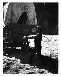 Westward the Women - 8 x 10 B&W Photo #1