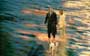 What Dreams May Come - 8 x 10 Color Photo #7