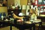 What Women Want - 8 x 10 Color Photo #4