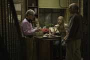 Whatever Works - 8 x 10 Color Photo #28