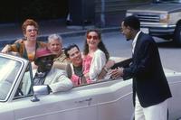 What's the Worst That Could Happen? - 8 x 10 Color Photo #10