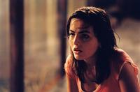 When a Stranger Calls - 8 x 10 Color Photo #5