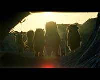 Where the Wild Things Are - 8 x 10 Color Photo #1