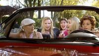 White Chicks - 8 x 10 Color Photo #9