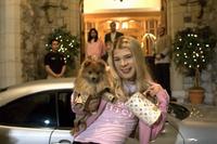 White Chicks - 8 x 10 Color Photo #10