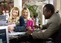 White Chicks - 8 x 10 Color Photo #11