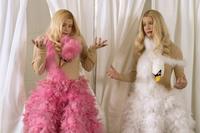 White Chicks - 8 x 10 Color Photo #19