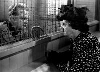 White Heat - 8 x 10 B&W Photo #3