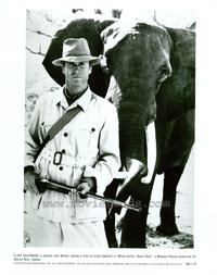 White Hunter, Black Heart - 8 x 10 B&W Photo #1