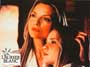 White Oleander - 8 x 10 Color Photo #20