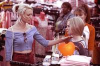 White Oleander - 8 x 10 Color Photo #8