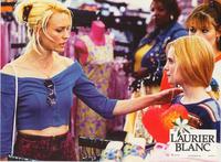 White Oleander - 8 x 10 Color Photo #14