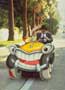 Who Framed Roger Rabbit - 8 x 10 Color Photo #3