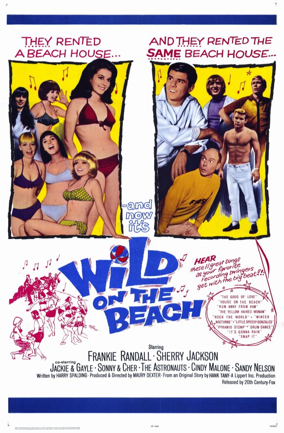Wild on the Beach movie
