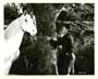 Wild Stallion - 8 x 10 B&W Photo #2