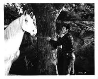 Wild Stallion - 8 x 10 B&W Photo #2