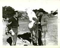 Wild Stallion - 8 x 10 B&W Photo #5