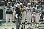 Wildcats - 8 x 10 Color Photo #13
