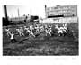 Wildcats - 8 x 10 B&W Photo #5
