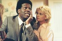 Wildcats - 8 x 10 Color Photo #5