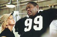 Wildcats - 8 x 10 Color Photo #11