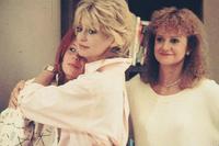 Wildcats - 8 x 10 Color Photo #12